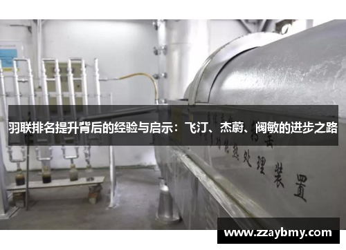 羽联排名提升背后的经验与启示:飞汀、杰蔚、阀敏的进步之路